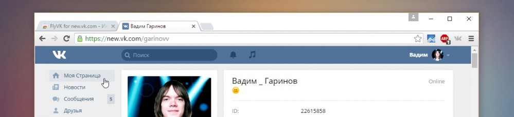 Удаление шестерёнок ВКонтакте при помощи FlyVK