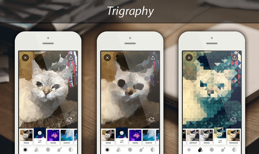 Мобильный фоторедактор Trigraphy
